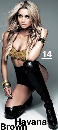 20260214 Havana Brown