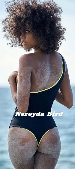 20260418 Nereyda Bird