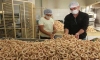 Areado, a terra do leite e do biscoito Areado, a terra do leite e do biscoito