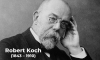 Robert Koch ganhou o Nobel de Medicina em 1905
