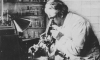 Osvaldo Cruz, o pioneiro das vacinas no Brasil Osvaldo Cruz, o pioneiro das vacinas no Brasil