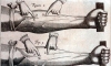 William Harvey estudou a função das veias na circulação William Harvey estudou a função das veias na circulação